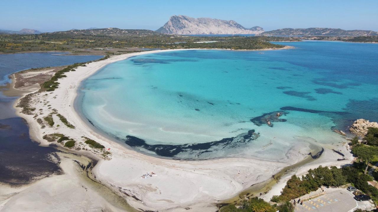 Iss Travel, Gli Asfodeli - Large Apartments With Private Terrace San Teodoro  Eksteriør billede