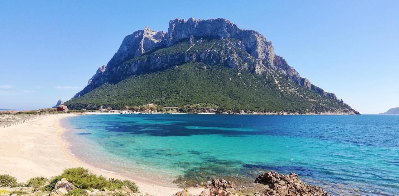 Iss Travel, Gli Asfodeli - Large Apartments With Private Terrace San Teodoro  Eksteriør billede